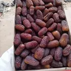 مجدوله خراف يومي متوفر 100 كرتون