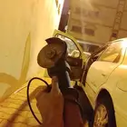 صاروخ وشنيور شغال