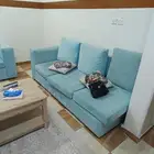 كنب