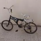 رامبو جنط 20