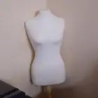 مانيكان لعرض الملابس