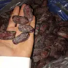 يوجد 500 كرتون خضري جانبو