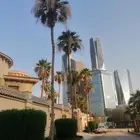 شغل وصيانه عامه لجميع انواع نخيل واشنطن وعربي بسعر مناسب لك