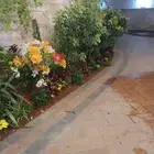 مشتل ابو عبده لتنسيق الحدائق