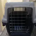 مستلزمات قطط كلهم ب 60