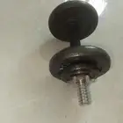 دمبل