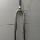 مشمخ. فيها شوي شمخات