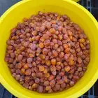 تمور حائل الفاخره