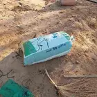 تمر نفيع
