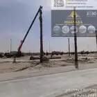 مقاول نخل توريد نخيل وأشجار ونجيله تنسيق حدايق