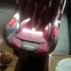 كاسيت مواليد من عمر يوم لسن تلات سنوات