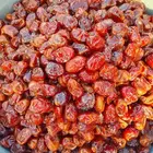 تمور حائل الفاخره