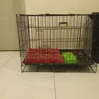 كفص قطط أو اذا حاب تخليه للطيور عادي