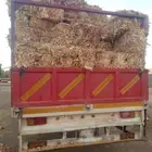 دره رومي من 13