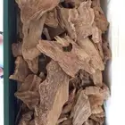 عود مروكي طبيعي حي