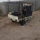 قلص