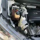 نسيان باثفندر موديل 2020