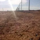 تركيب شبوك