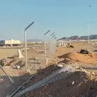 شبوك ونخيل