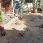 ابوعمارلتوريدانخيل