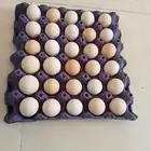 يوجد بيض بلدي طازج اليوم ونضيف