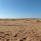 السلام عليكم ورحمة الله وبركاته يا أخوان مطلوب دور أو شقة