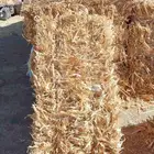 ذره شاميه