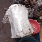 مكينة هايلوكس مكينة فورشنر مكينة برادو