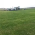 ثيل طبيعي قصيمي