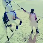 سلام عليكم يوجد لدينا اجار خيل و جمال وسيسي يوم اسبوع شهر