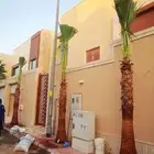 نخيل واشنطني نخل واشنطني