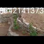 دكتور حجر طبيعي ترثي