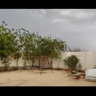 للبيع حوش في ملكان المساحه500