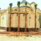 نخل واشنطني وملوكي وعربي جميع الأحجام ويوجد وسط أسعار مناسبه