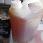 عسل سدر حضرمي اصلي درجه اولى وعلى الشرط