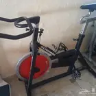 Original indoor schwinn bike