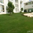 زرع طبيعي واشجار تخفيضات بمناسبة اليوم الوطني