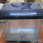 حوض تربية اسماك