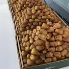 توفير جميع انواع التمور