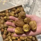 تمر سكري فاخر