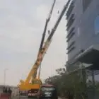 كرين