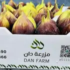 تين براون عسلي فاخر جملة أشيقر