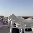 خروف فحل ثني رأس ورقبه نادره