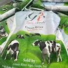 للبيع بذر برسيم