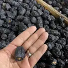 تمر عجوه للبيع
