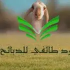 نوفر طليان حري