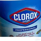 كلوركس للفنادق والمغاسل