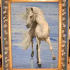 لوحة حصان نادرة فن إيراني بإطار فاخر
