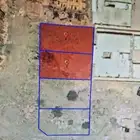 ارض