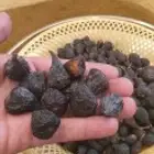 اللوز ووالتين المجفف لتعويض نقص فيتامين ( د )
